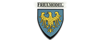 Friulmodel