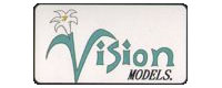 Vision models